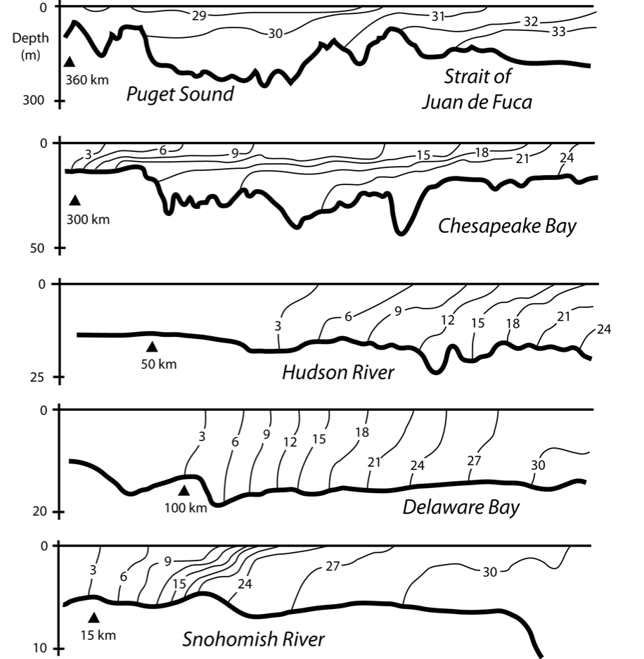 Estuary Sections