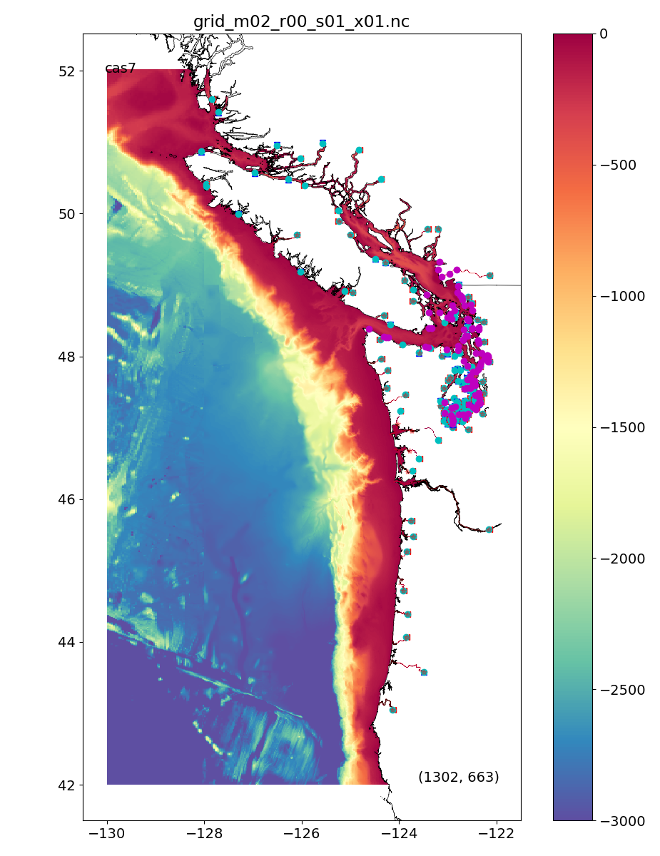 Close up of Puget Sound cas7 grid and rivers