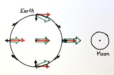 diagram of earth and moon showing gravitational effect of earth